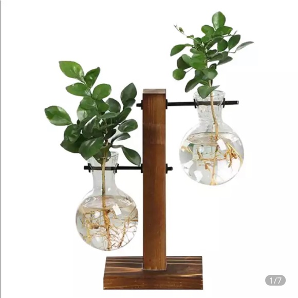 Other - Hydroponic plant vase